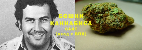 дмт Заводоуковск