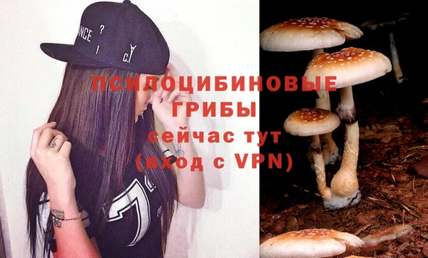 apvp Заволжск