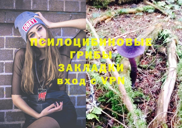 дмт Заводоуковск