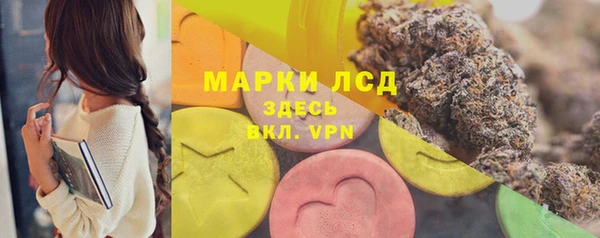 дмт Заводоуковск