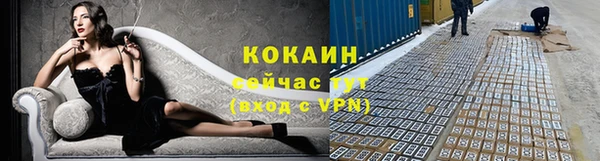 дмт Заводоуковск
